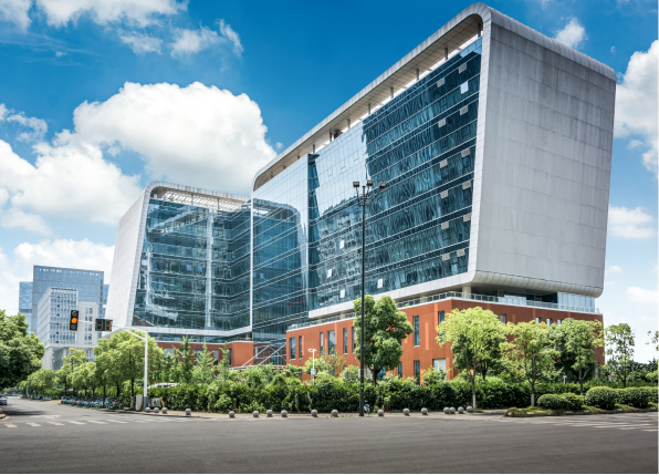 Neurosurgery & Neurology